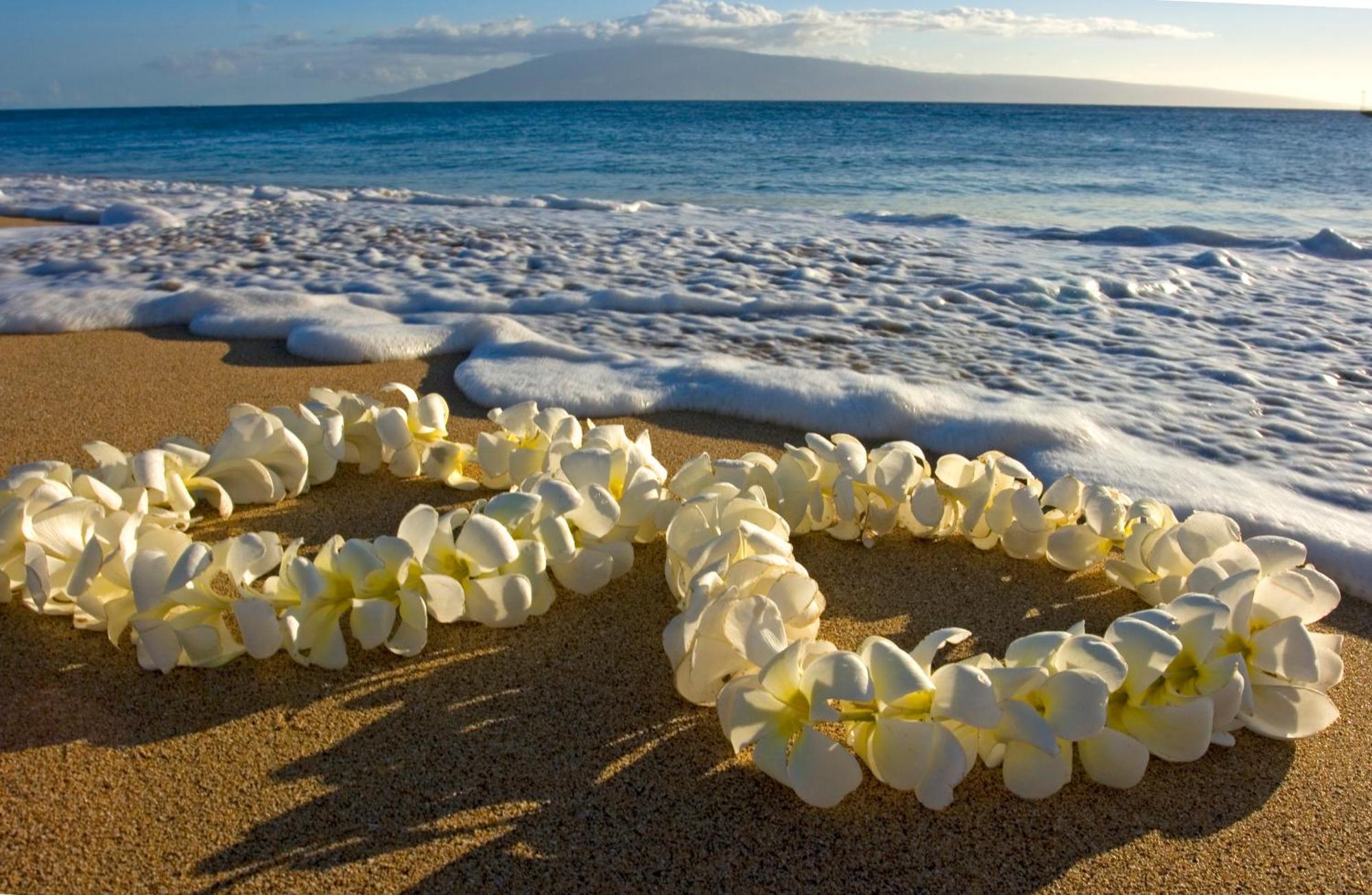 Great Ocean View Condo, Near With Free Parking! Appartement Honolulu